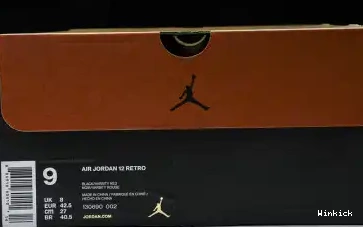 12 Flu (2025) JORDAN CT8013-002 AIR Game 0428